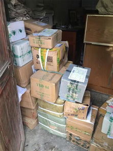張金寶攜金財咨詢踐行社會責任，共筑鄉村教育未來——記“鄉村學校圖書室手拉手行動”